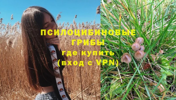 спиды Белоозёрский