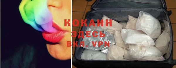 мдпв Белокуриха