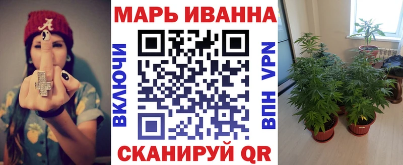 Канабис OG Kush  Володарск 